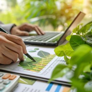 Agricultural Budget Planner