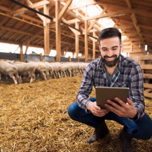 Livestock Management Tracker