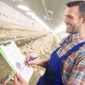 Poultry Farm Record Book